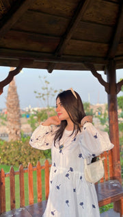 Embroidered Frock
